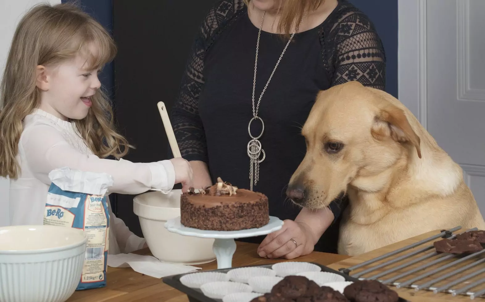 Il cioccolato fa male ai cani? Motivi per cui i cani non dovrebbero mangiare cioccolato